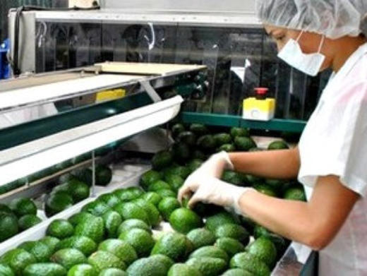 Fabricas de Alimentos