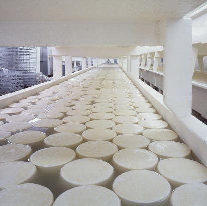 Manual de Funciones para Personal Operativo Industria Alimentos
