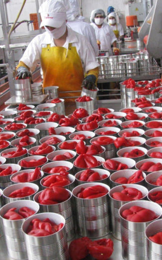 Gestion de Seguridad Alimentaria