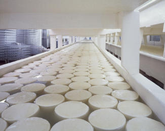 Capacitacion para la cadena Alimentaria