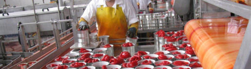 Formacion Sistema HACCP